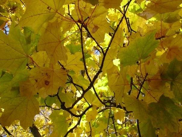 Autors: Publicitātes foto