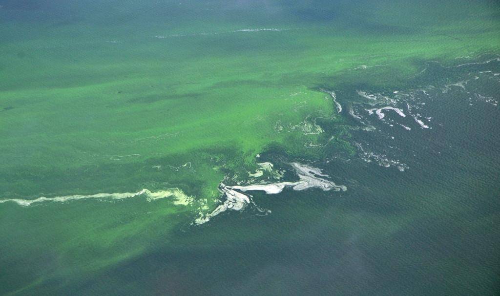 Autors: Publicitātes foto