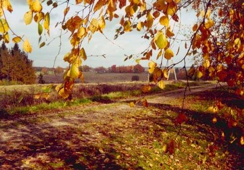 Autors: Publicitātes foto