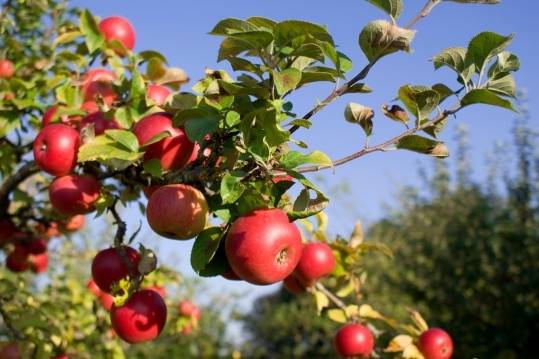 Autors: Publicitātes foto.