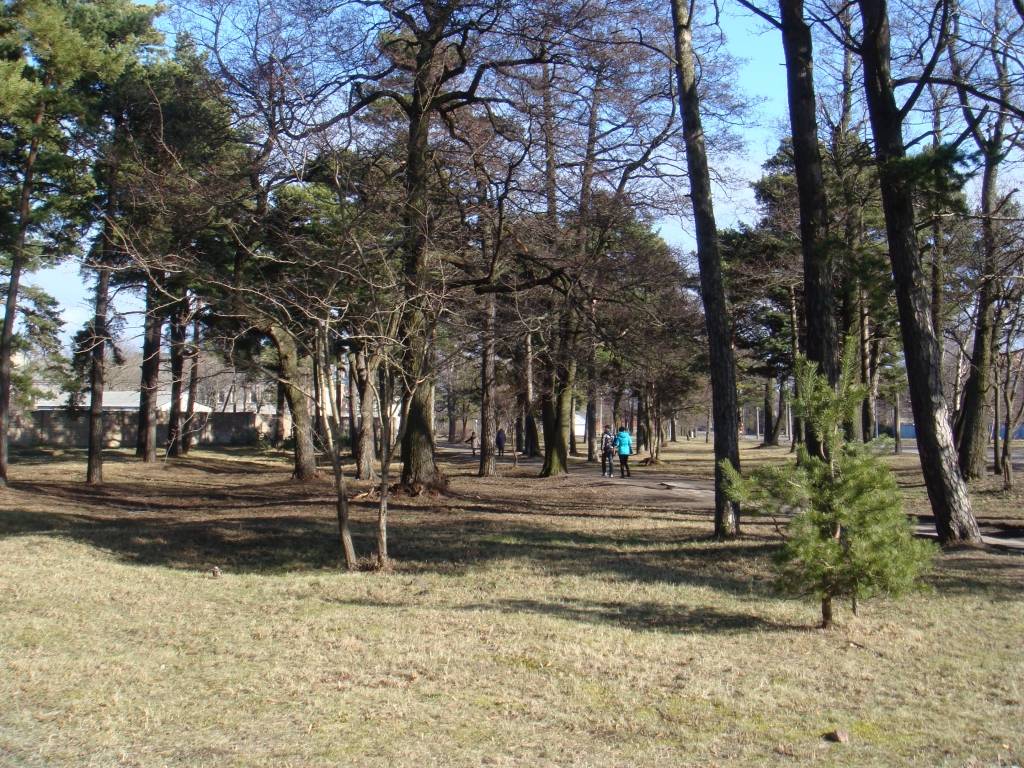 Autors: Publicitātes foto