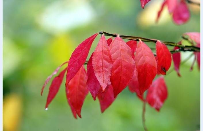 Autors: Publicitātes foto