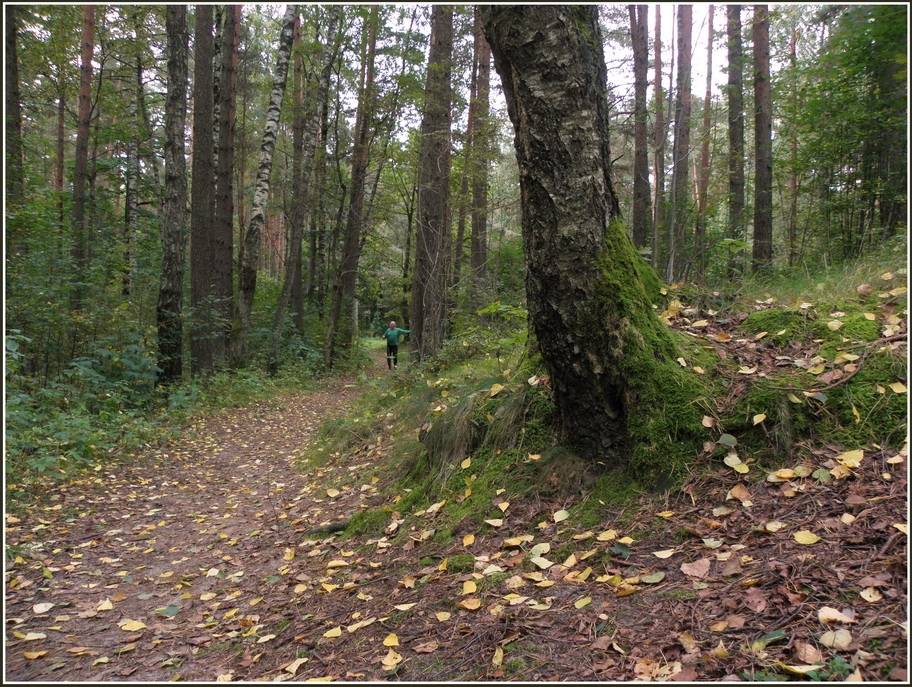 Autors: Publicitātes foto