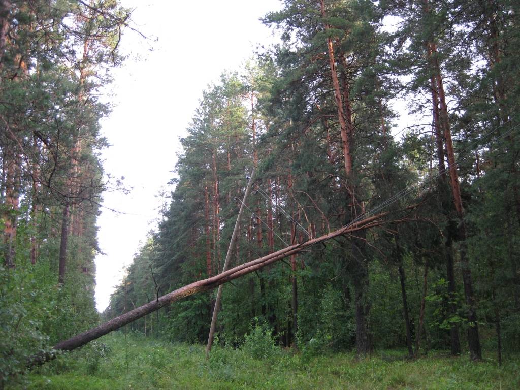 Autors: www.latvenergo.lv