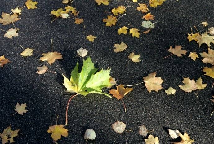 Autors: Publicitātes foto