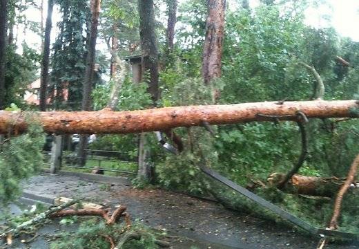 Autors: Publicitātes foto