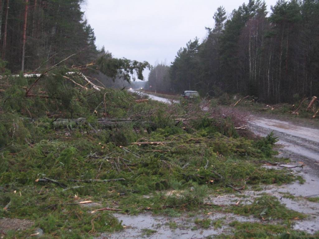 Autors: Publicitātes foto