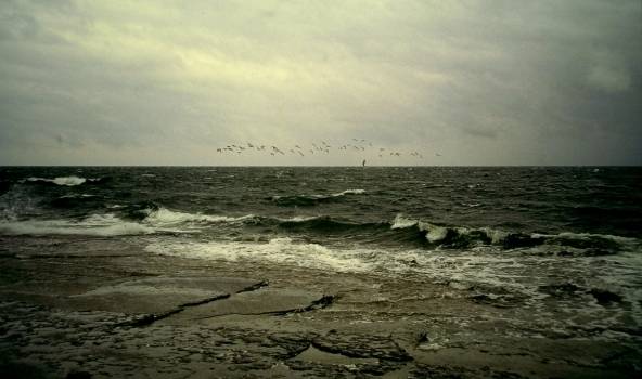 Autors: Publicitātes foto