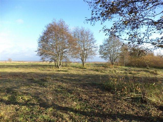 Autors: www.liepaja.lv