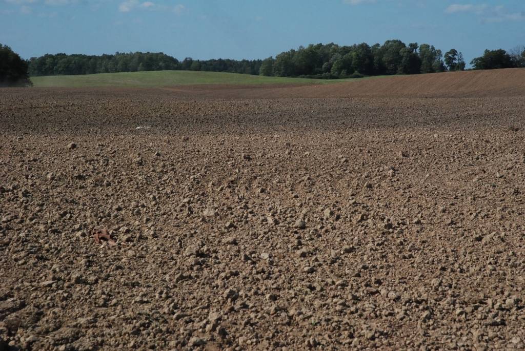 Autors: Dainis Ģelzis