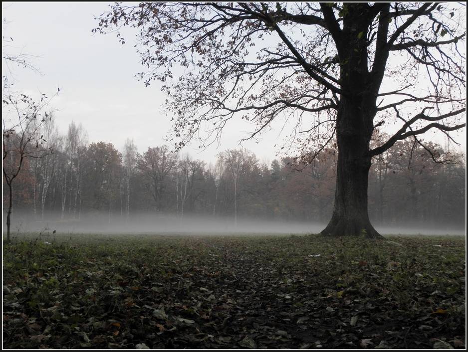 Autors: Publicitātes foto.