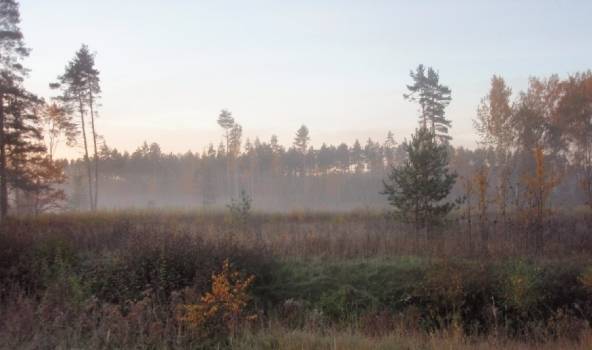 Autors: meteolapa.lv