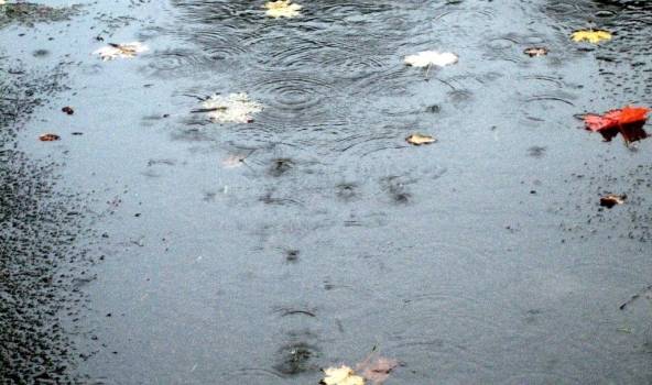 Autors: Publicitātes foto