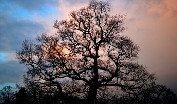 Autors: www.flickr.com