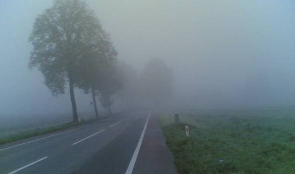 Autors: Publicitātes foto