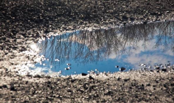 Autors: www.flickr.com