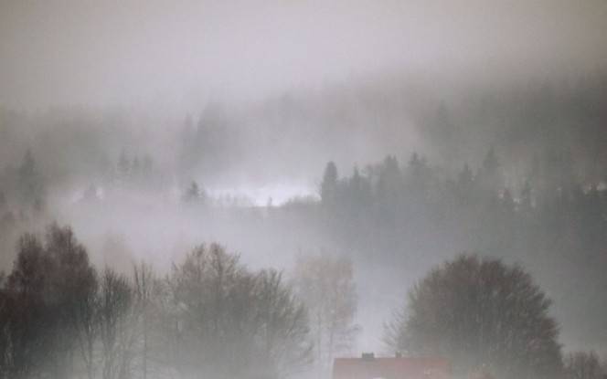 Autors: Publicitātes foto