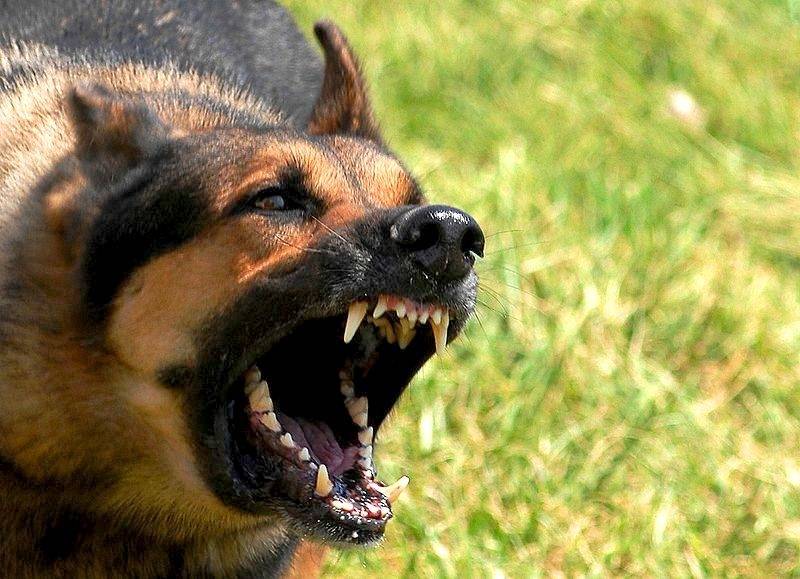 Autors: Publicitātes foto