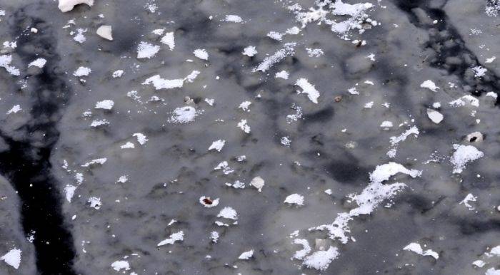 Autors: Publicitātes foto