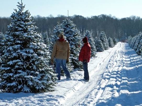 Autors: Publicitātes foto