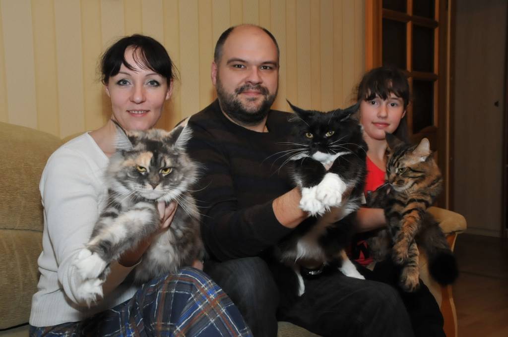 Autors: Dainis Ģelzis