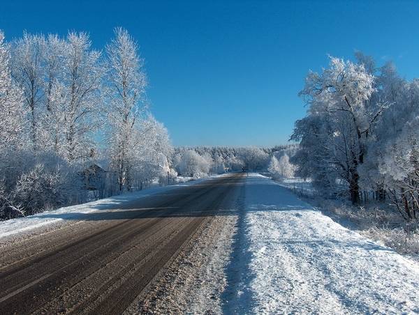 Autors: Publicitātes foto