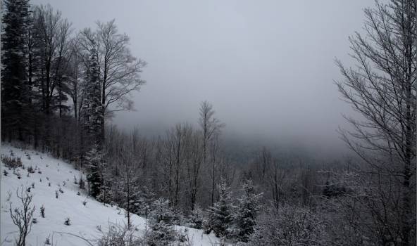 Autors: Publicitātes foto