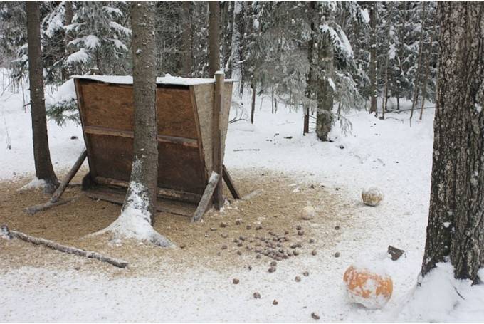 Autors: Dainis Ģelzis