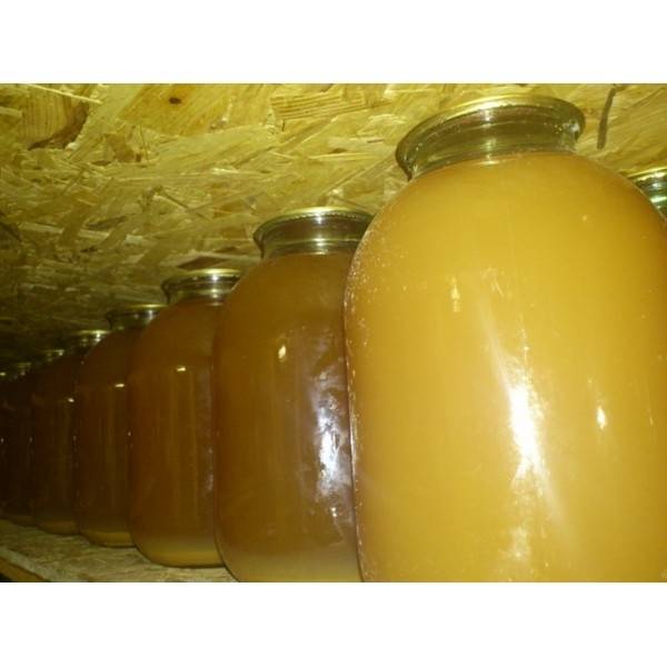 Autors: Publicitātes foto