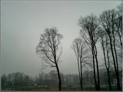 Autors: Publicitātes foto