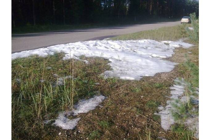 Autors: Publicitātes foto