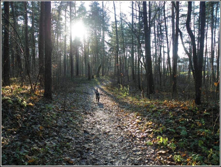 Autors: Publicitātes foto