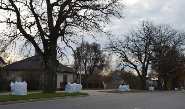 Autors: Publicitātes foto