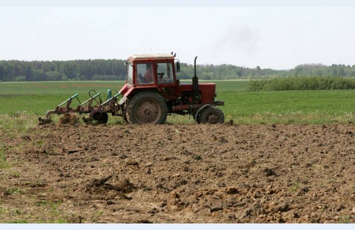 Autors: Publicitātes foto