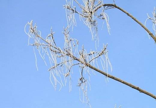 Autors: Publicitātes foto