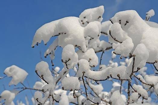 Autors: Publicitātes foto