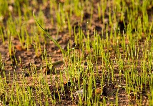 Autors: Publicitātes foto