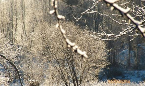 Autors: meteolapa.lv