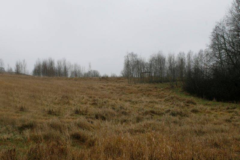 Autors: Publicitātes foto