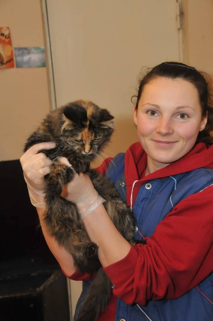 Autors: Dainis Ģelzis