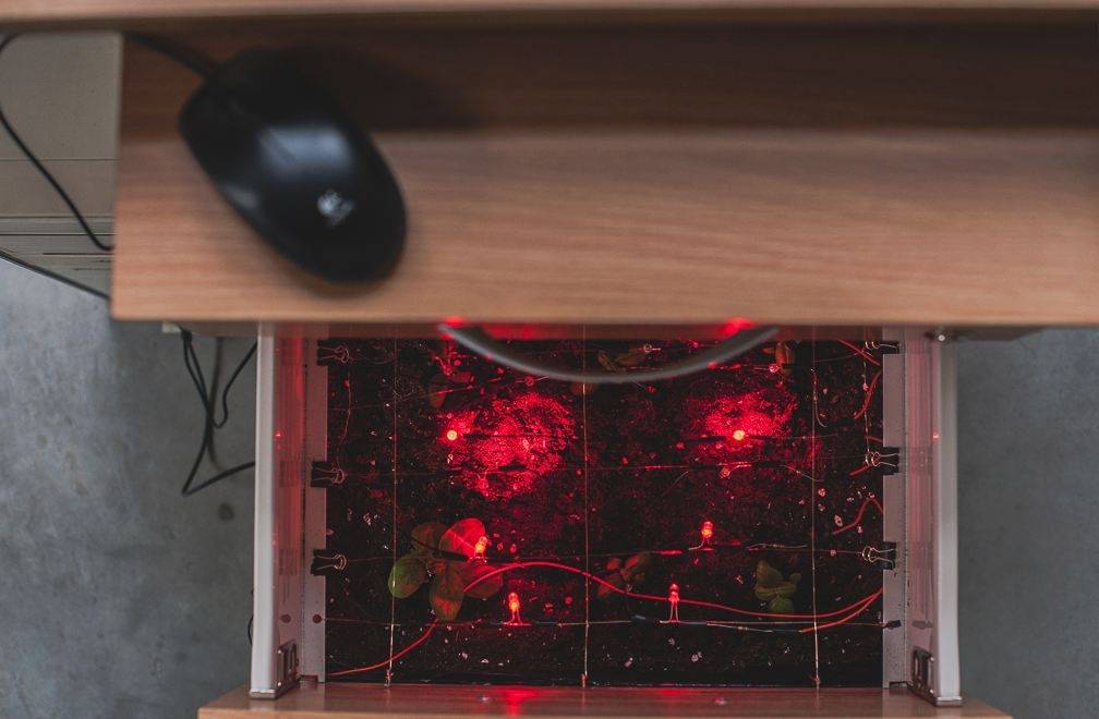 Autors: Publicitātes foto