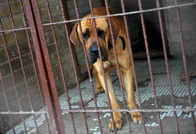 Autors: Publicitātes foto