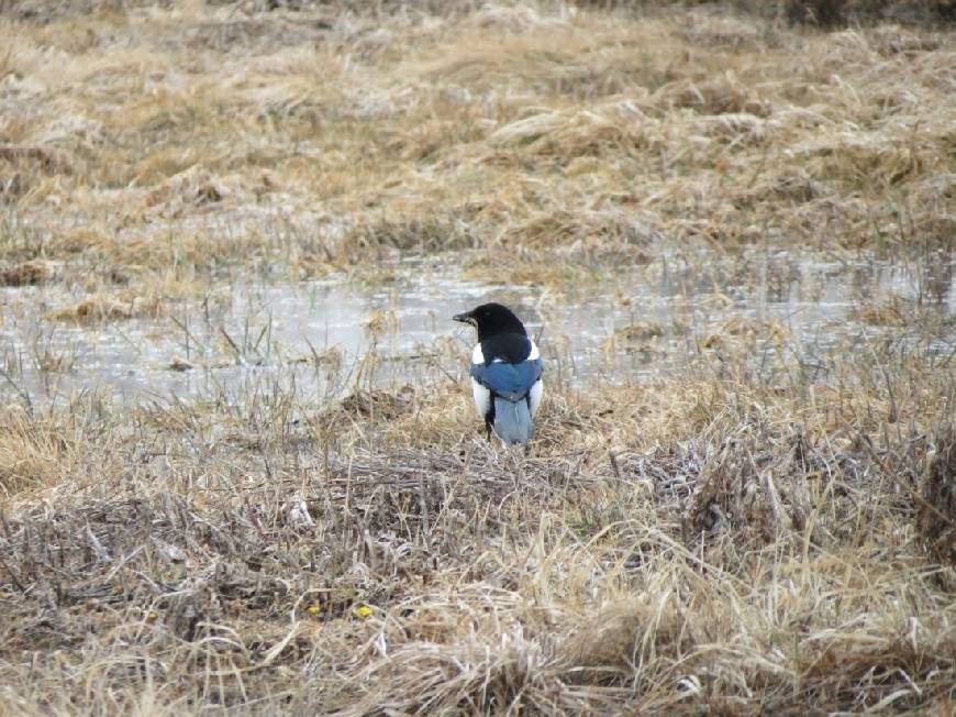 Autors: Publicitātes foto