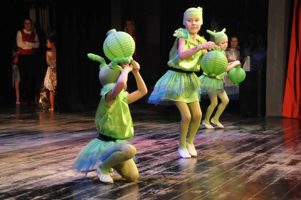 Aluksniesiem.lv raksta attēla aizvietotājs