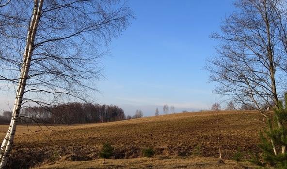 Autors: meteolapa.lv