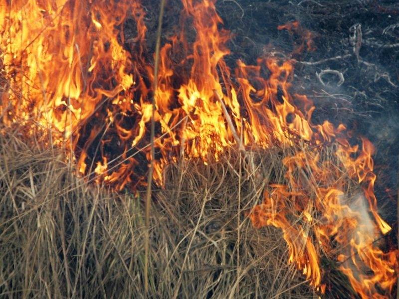 Autors: Publicitātes foto