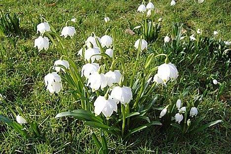 Autors: Publicitātes foto