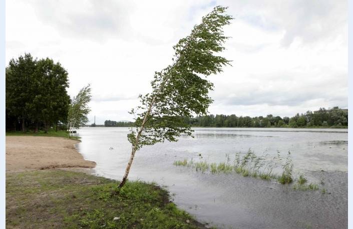 Autors: www.diena.lv