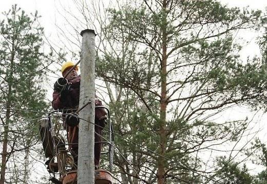 Autors: Publicitātes foto