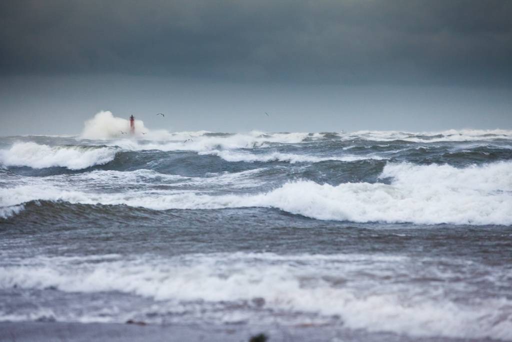 Autors: Publicitātes foto